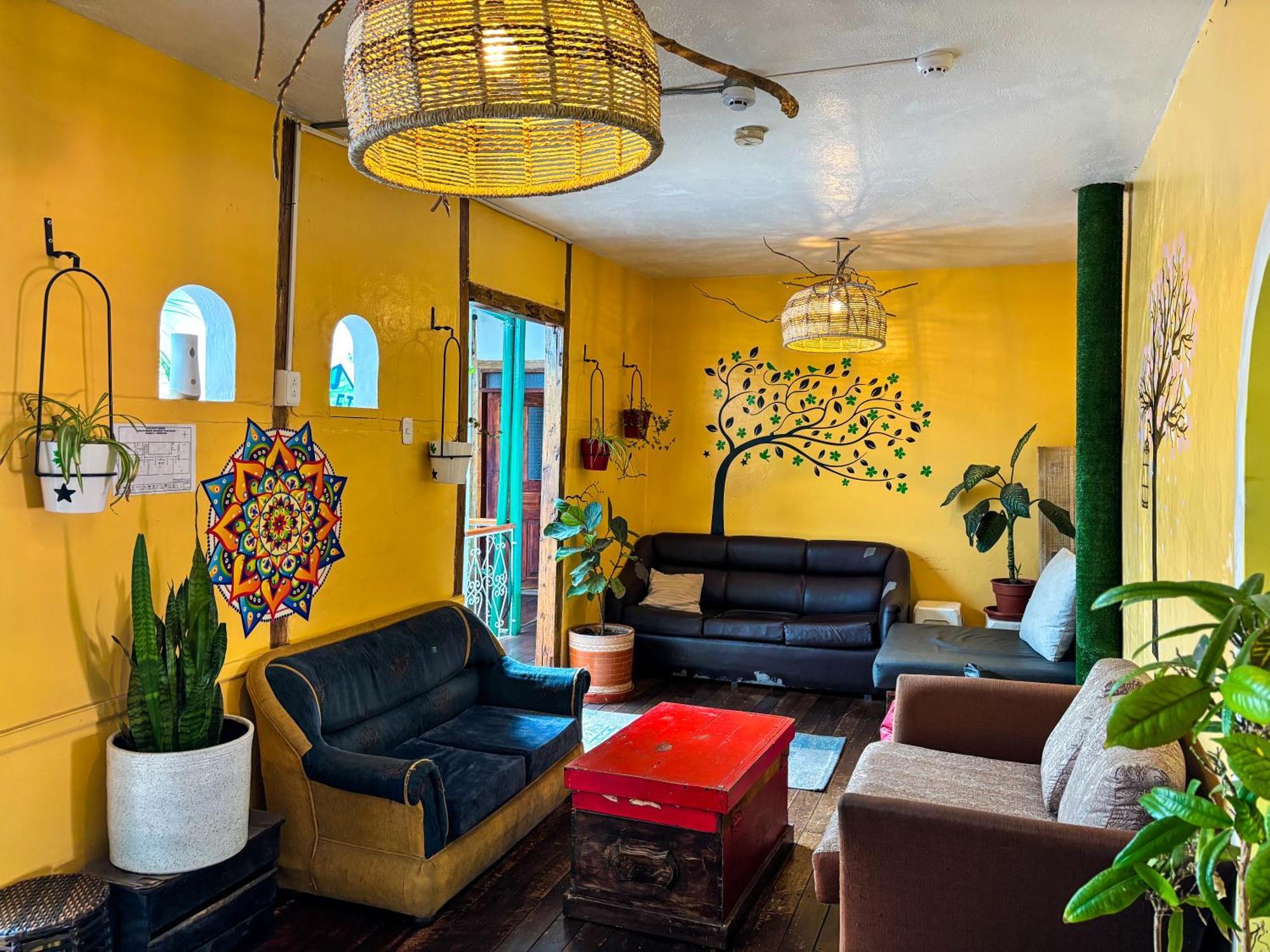 The Secret Garden Hostel Κίτο Εξωτερικό φωτογραφία